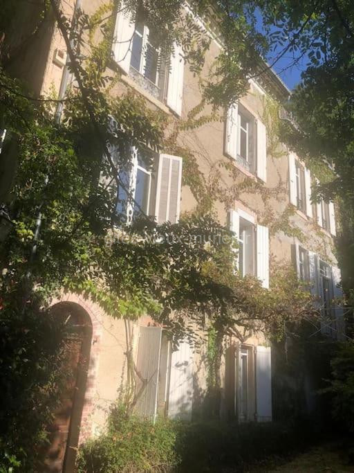 Photo de la Maison de 1820 dans un écrin de verdure